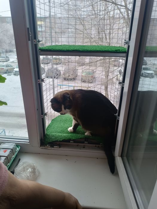 Балкон для кошек!!!