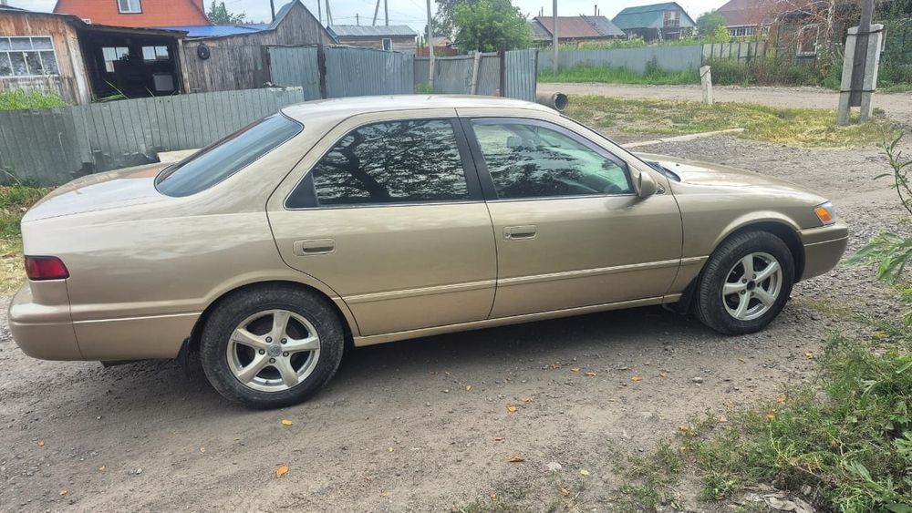 Продам живого Легенду.