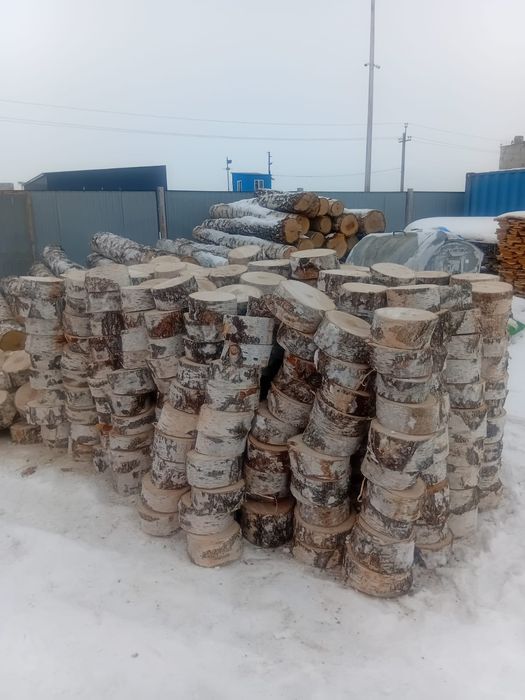 Береза кругляк продам