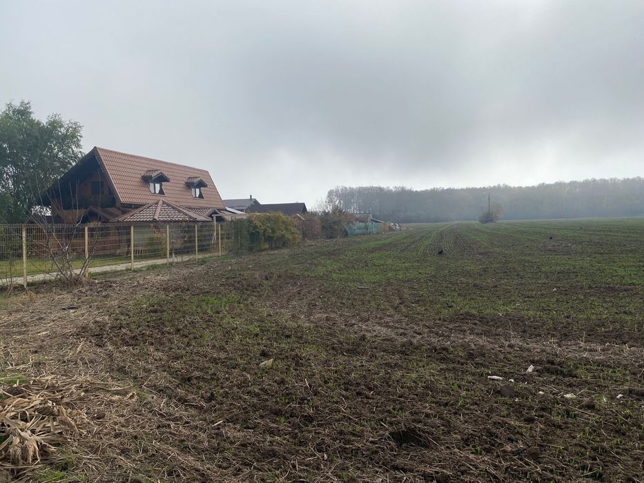 Teren intravilan Snagov Padure 42€/mp