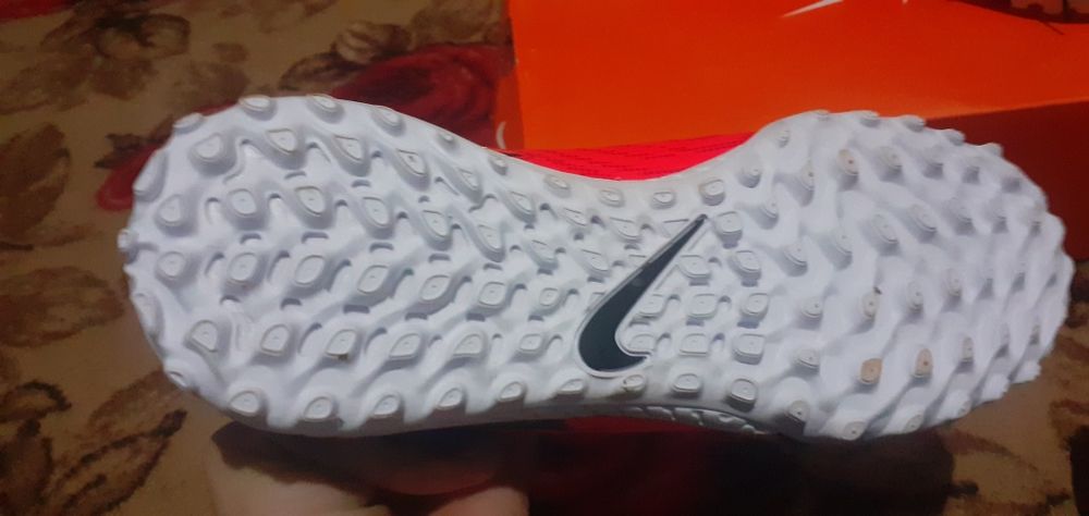 Сараканошка бар нови