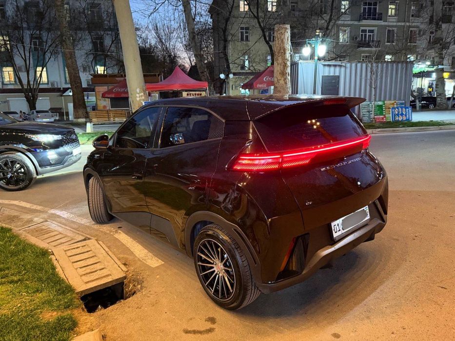 Byd seagull flying 100% тозза