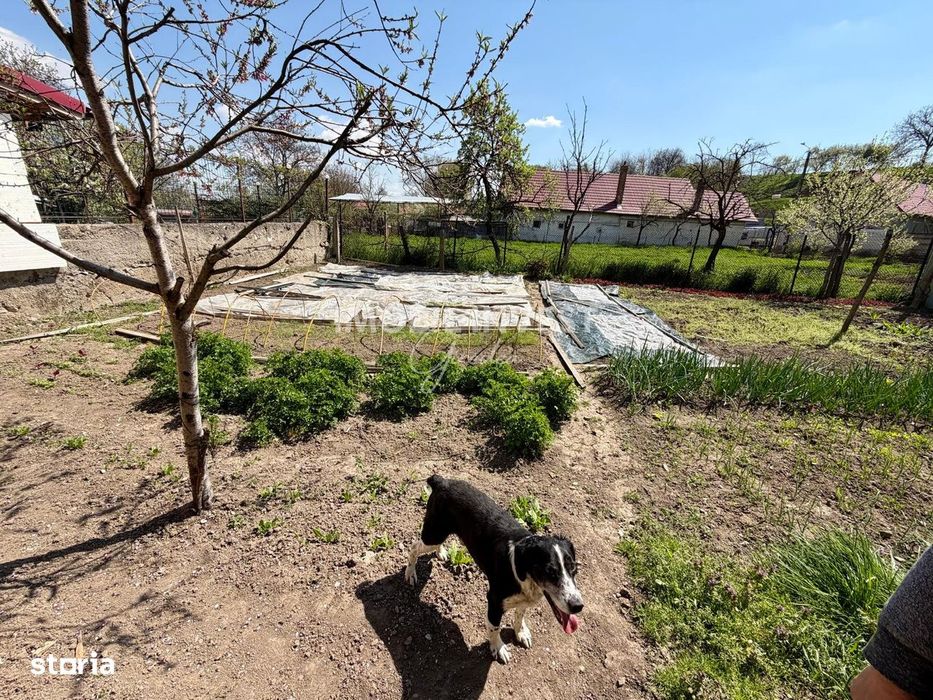 Casa individuala Ighiu, 3 camere, pivnita,anexe, gradina, 800 mp teren