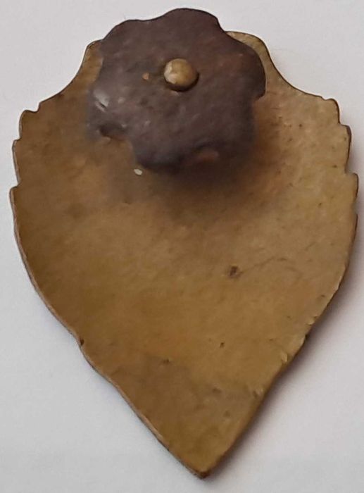 Insigna gospodar de frunte