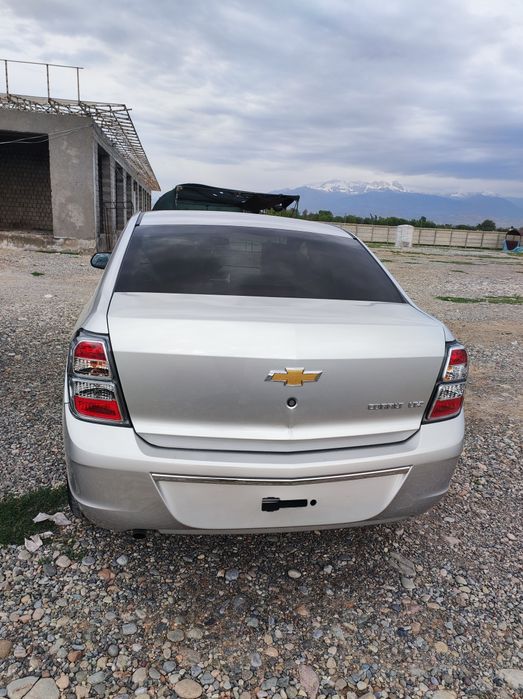 Kobalt 2025 shot siprafkaga