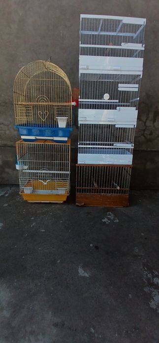 Qafas , qushlar uchun