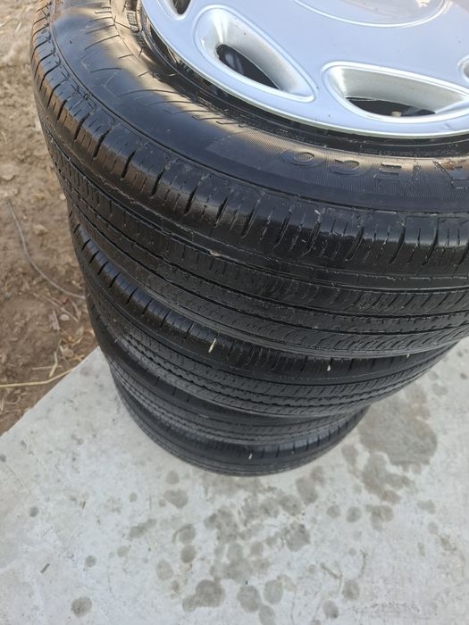 R13lik diska balon damasga tushadii