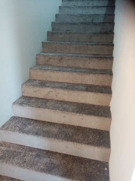 Montaj mocheta disponibilitate rapida