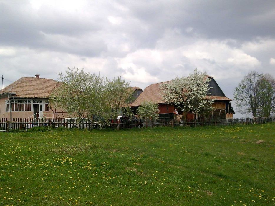 Casă de vânzare - com. Râșca sat Mărcești, cu anexe și teren (7500 mp)
