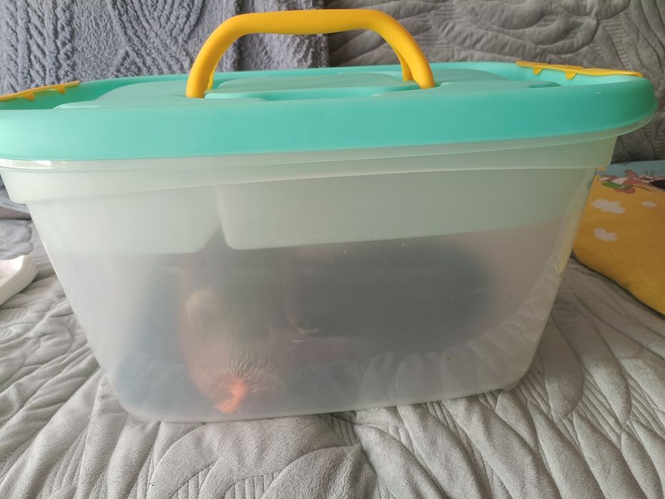 Набор для пикника