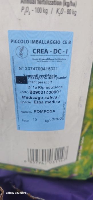 Samanta Lucerna Pomposa