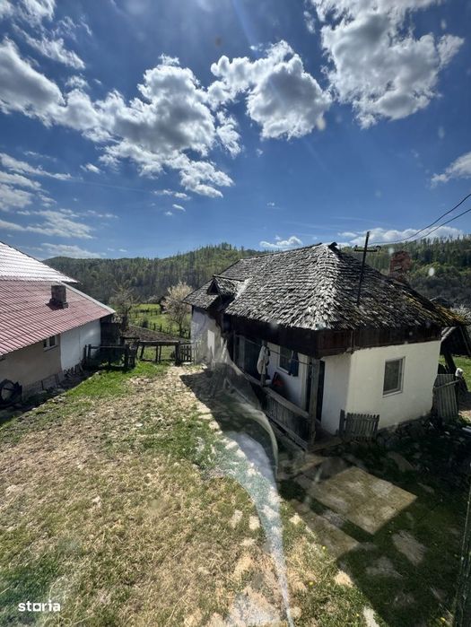 6.605 mp de natura pura – refugiu, afacere sau investitie in Candest
