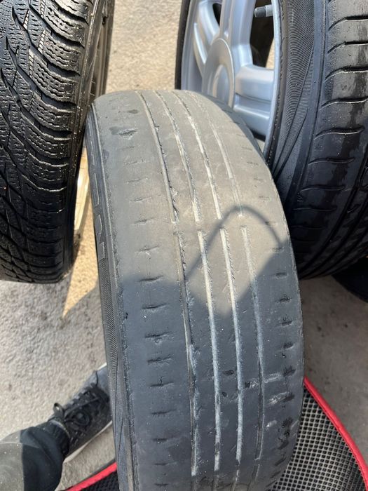 Торус титанка  р15