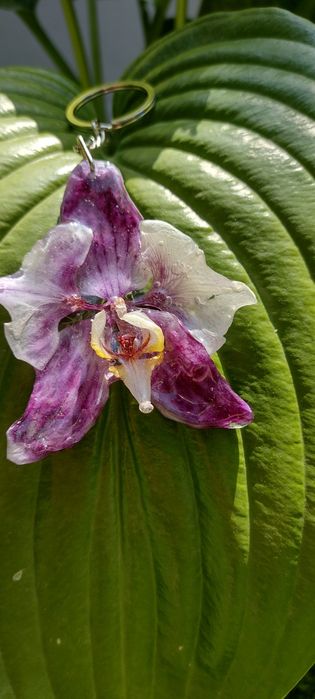 Ключодържател или аксесоар за чанта с естествен цвят на орхидея.