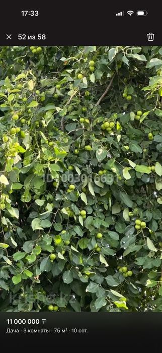 Продается Дача на баме