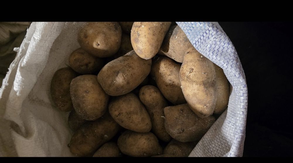 Картофель  едовой