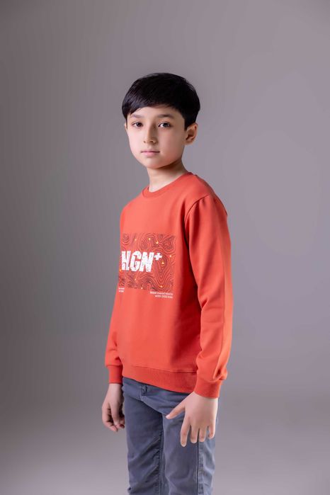 Свитшот от VESMIR