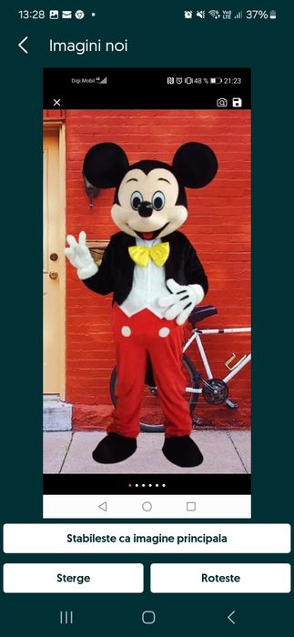 Închiriez costume Mikey, Minnie, Paw Patrol sau Winnie