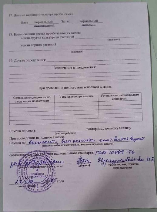 Ячмень на семена