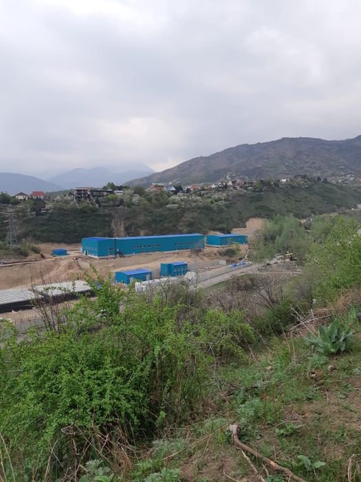 продам  сад срочно