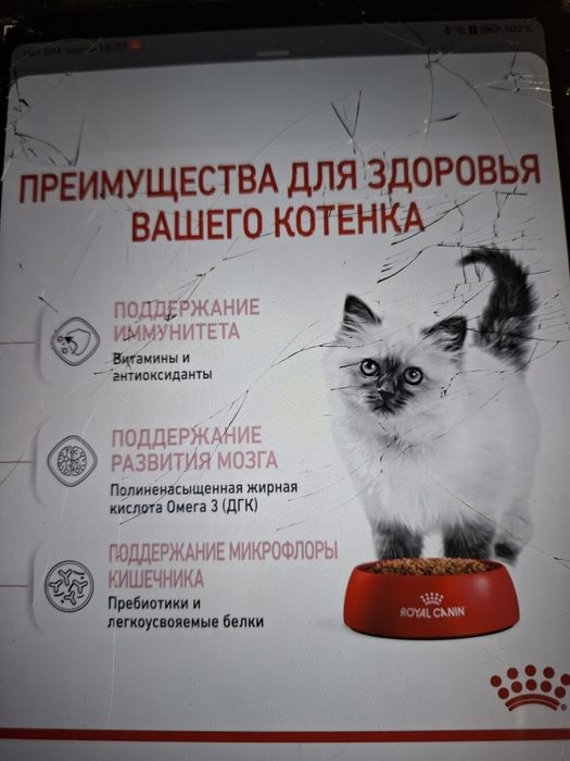 Продаю корм для котят
