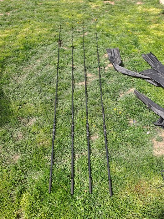 Bete pescuit Crap noi