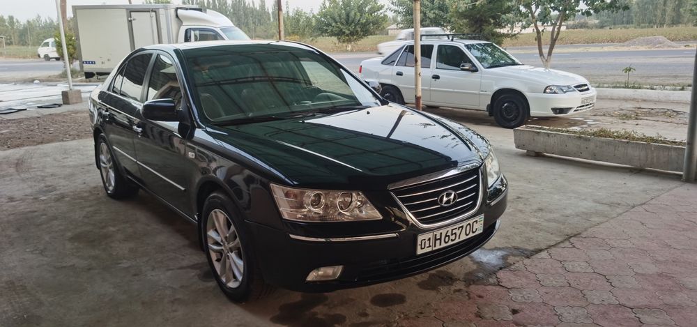 Sonata NF Рейстлин