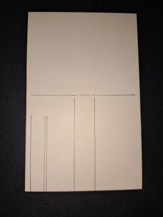 Foto portrait militar german SS - Gebirgs Division