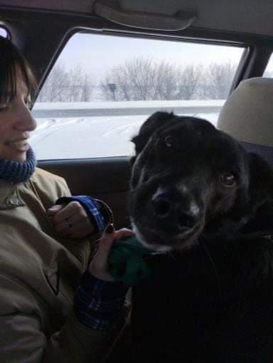 Чарли  в поисках  ДОМА !