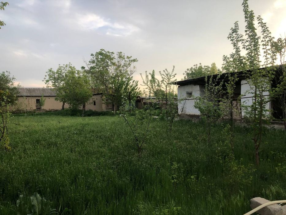 Srochna Hovli sotiladi fayzli honadon