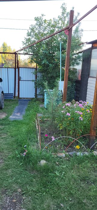 Продам дачу в Новой Бухтарме