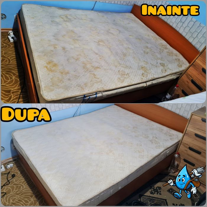 Curatare Canapele Saltele Mochete Fotolii Covoare [Spalare Igienizare]