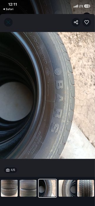 Bars 215_55_17 Trekir Radnoyi