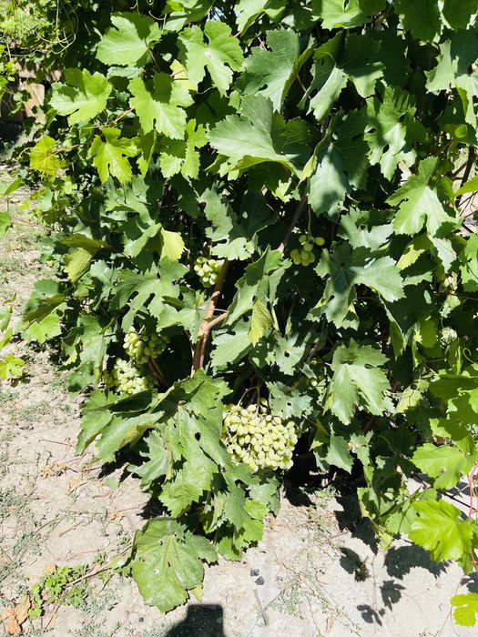 Продается участок