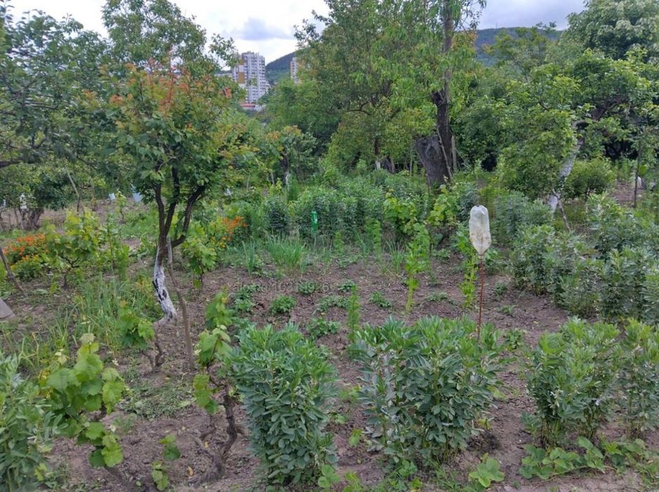 Парцел с дървена къща за земеделие и отдих в Шумен – Топхането