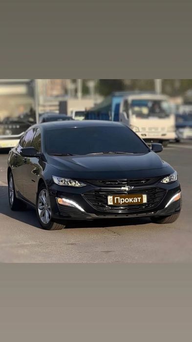 Прокат авто в Ташкенте | Аренда авто | Rent car | Ijara