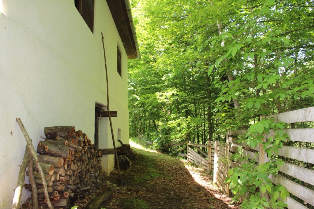 Vand cabana pe Valea Sebesului