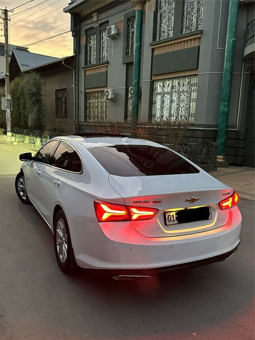 Malibu preimer 2022 Top toza