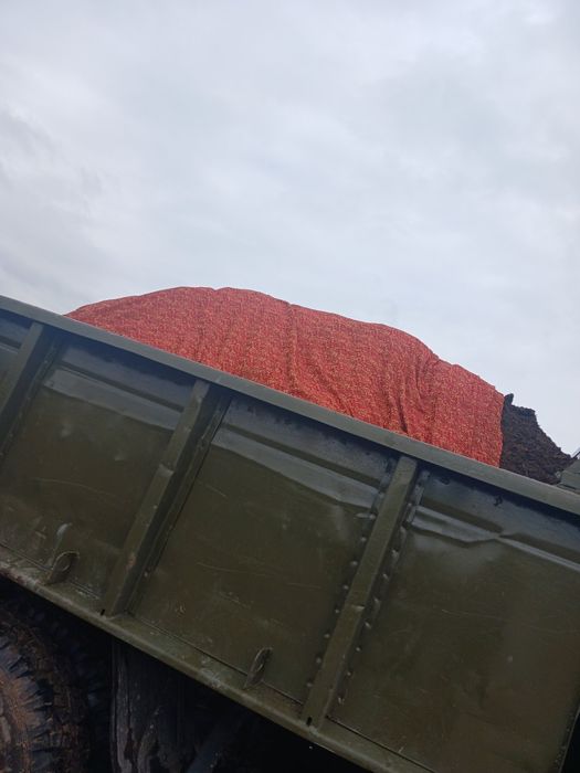 Перегной Навоз Удобрение