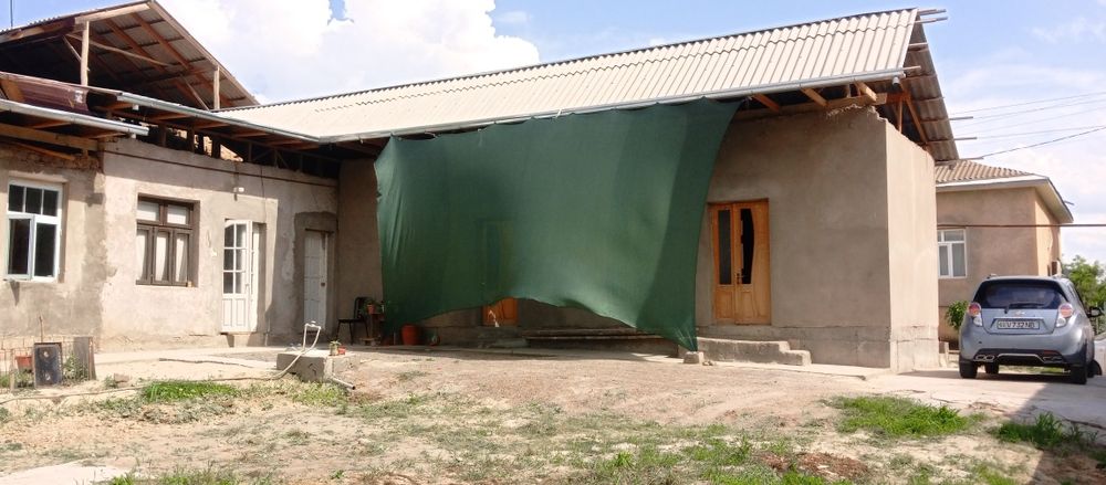 12 sotix uysotladi