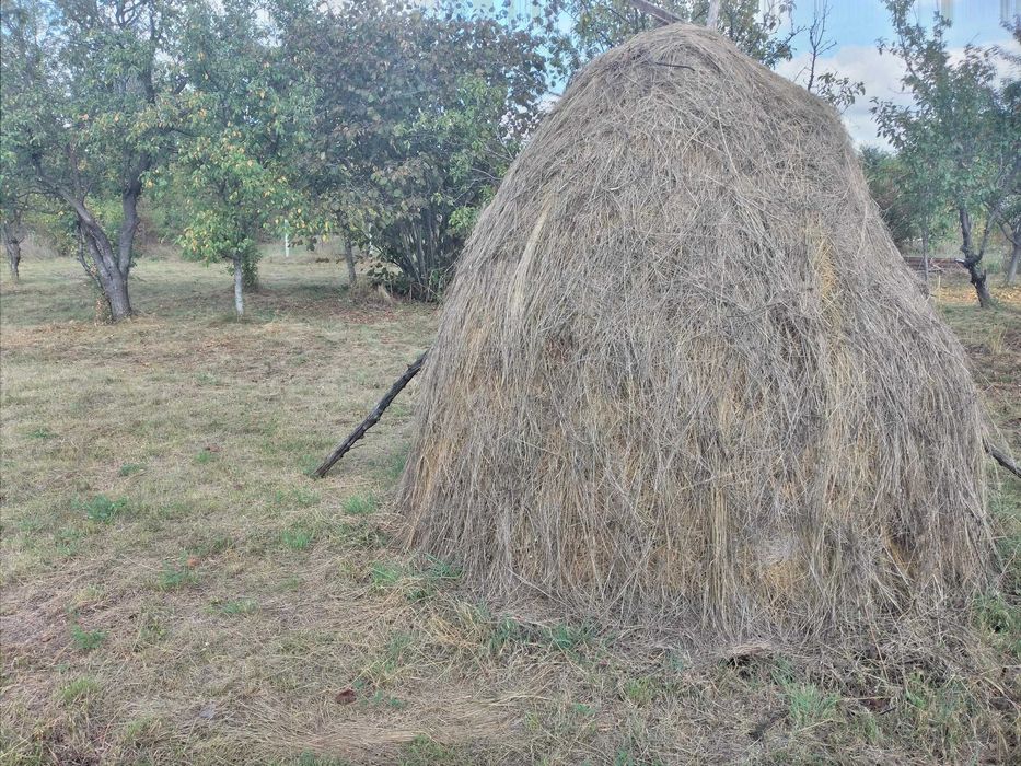 Vând fân şi otavă ecologică vrac