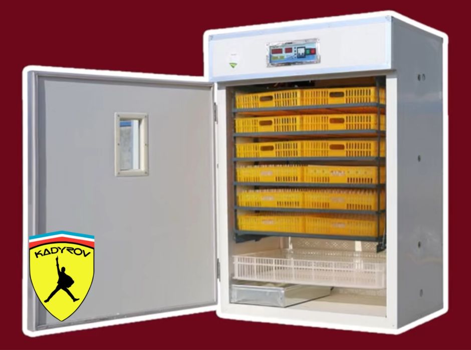 Инкубатор для цыплят — стабильный вывод без лишних хлопот