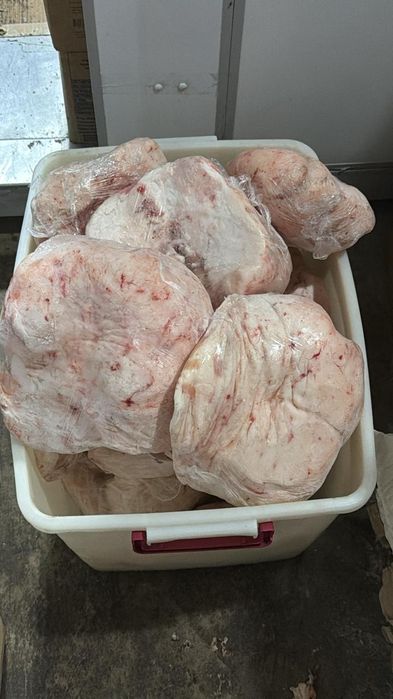 Продам бараньи курдюк