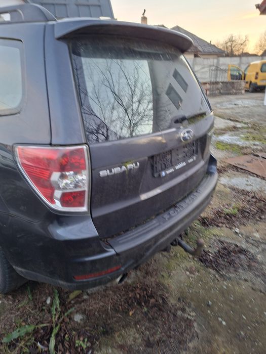 De vîzare Subaru forester