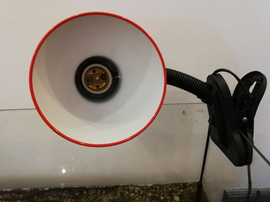 Lampa acvariu țestoasă, reptile, pesti