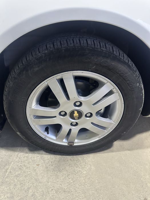 Lasseti sotiladi tayor tozza