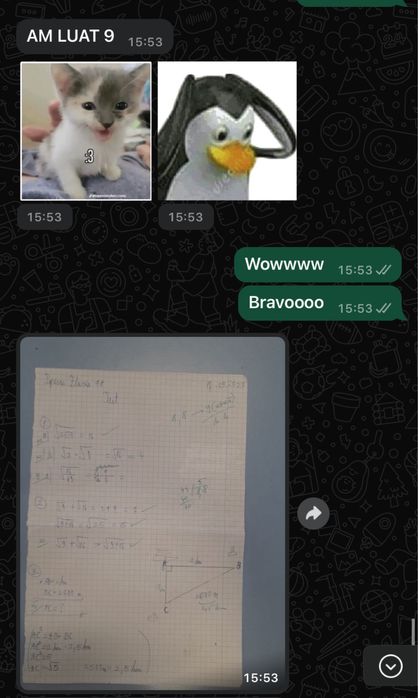 Meditatii Matematica 5-8 -Popesti Leordeni-8 minute metrou Berceni