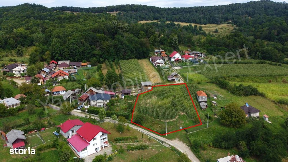 Teren de vânzare în comuna Băiculești, sat Tutana, județ Argeș.