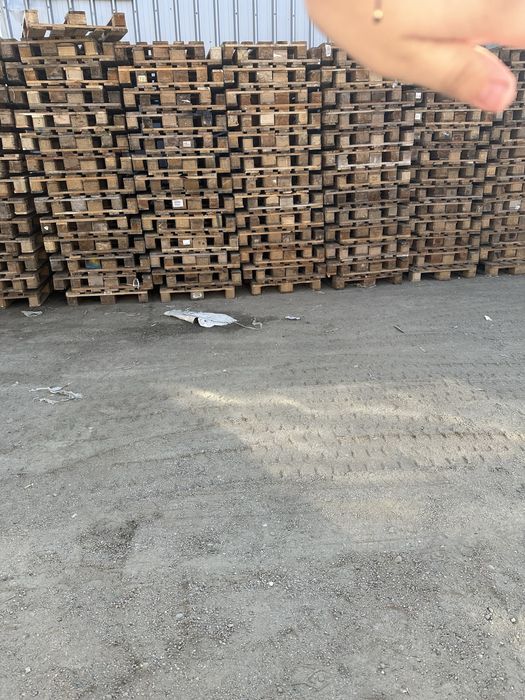 Paleti din lemn euro