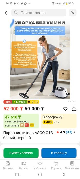 Пароочиститель ASCO Q13